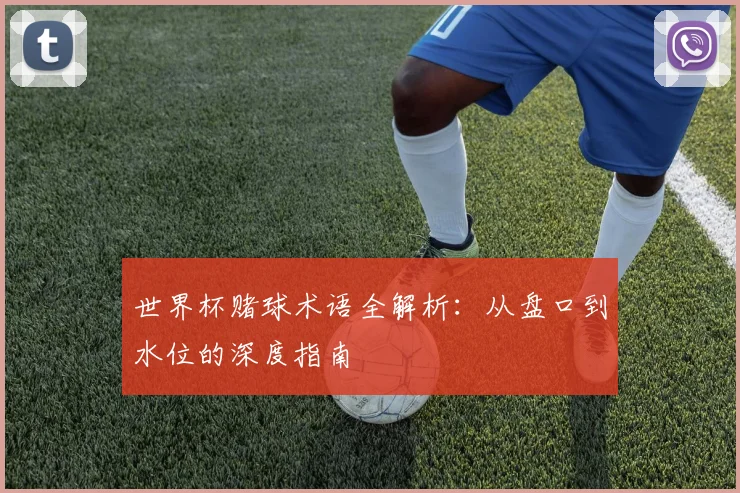 世界杯赌球术语全解析：从盘口到水位的深度指南