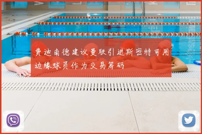 费迪南德建议曼联引进斯密特可用边缘球员作为交易筹码