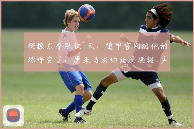 樊振东夺冠仅1天，德甲官网对他的称呼变了，原来马龙的话没说错_乒坛_传承_赛事