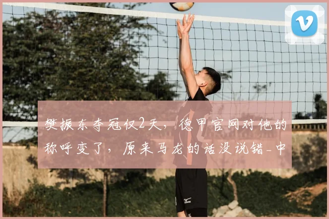 樊振东夺冠仅2天，德甲官网对他的称呼变了，原来马龙的话没说错_中国_体育_职业