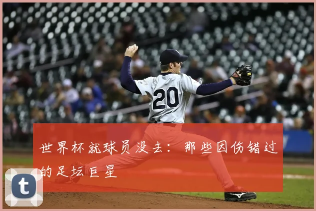 世界杯就球员没去：那些因伤错过的足坛巨星