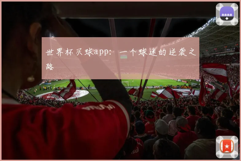 世界杯买球app：一个球迷的逆袭之路