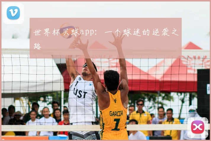 世界杯买球app：一个球迷的逆袭之路