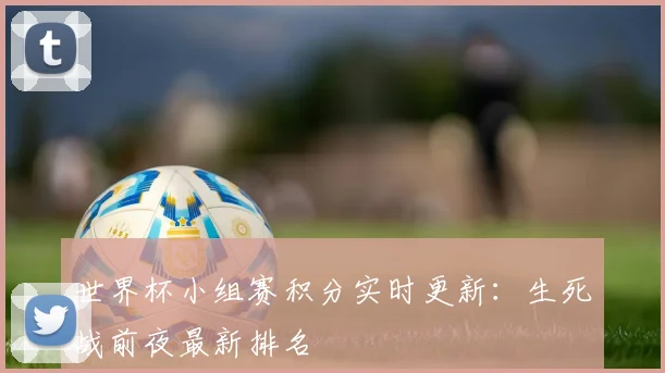 世界杯小组赛积分实时更新：生死战前夜最新排名