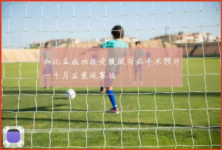 加比亚成功接受腹股沟疝手术预计一个月后重返赛场