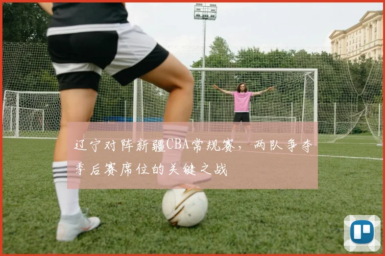 辽宁对阵新疆CBA常规赛，两队争夺季后赛席位的关键之战