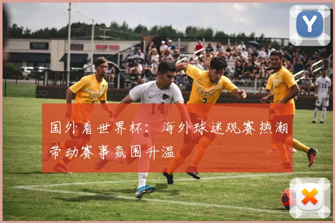 国外看世界杯：海外球迷观赛热潮带动赛事氛围升温