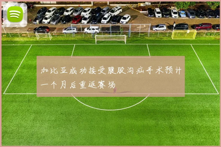 加比亚成功接受腹股沟疝手术预计一个月后重返赛场