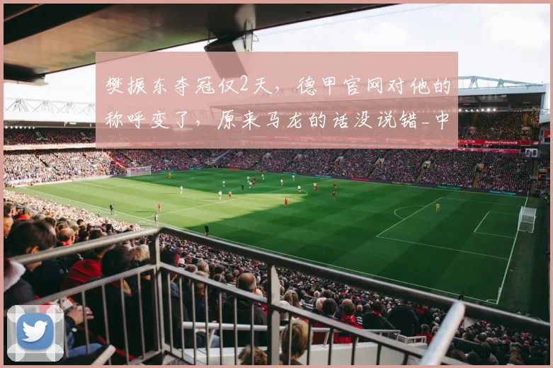 樊振东夺冠仅2天，德甲官网对他的称呼变了，原来马龙的话没说错_中国_体育_职业