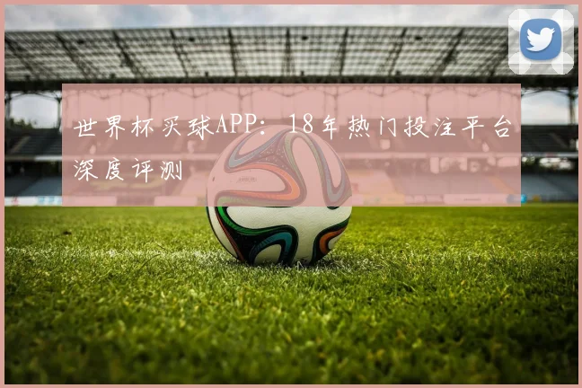 世界杯买球APP：18年热门投注平台深度评测