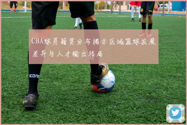 CBA球员籍贯分布揭示区域篮球发展差异与人才输出格局