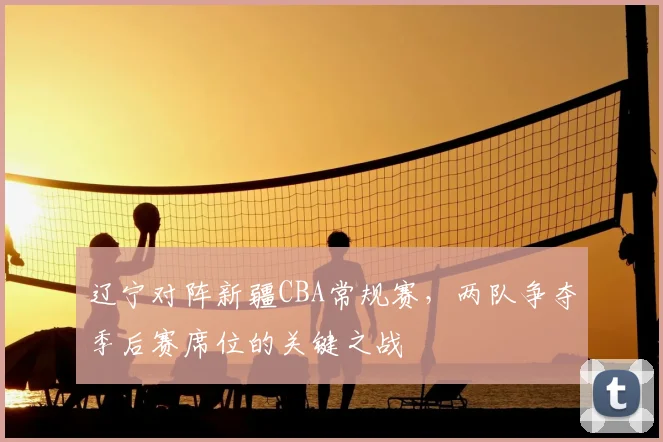辽宁对阵新疆CBA常规赛，两队争夺季后赛席位的关键之战