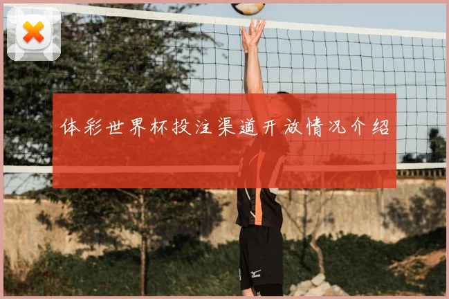 体彩世界杯投注渠道开放情况介绍