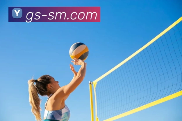 买球官网全站App